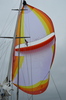 dsc-0355