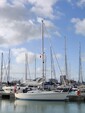 spotgaai-2